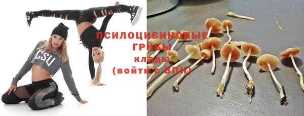 бутират Арсеньев