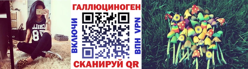Псилоцибиновые грибы мухоморы  купить наркотики цена  Кашин 