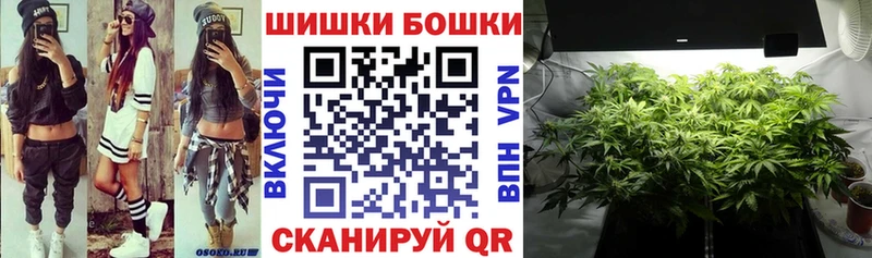 Канабис THC 21%  как найти закладки  Кашин 